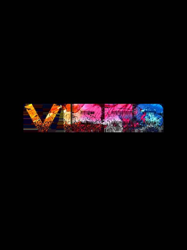 VIBES Multicolor Typography T-Shirt